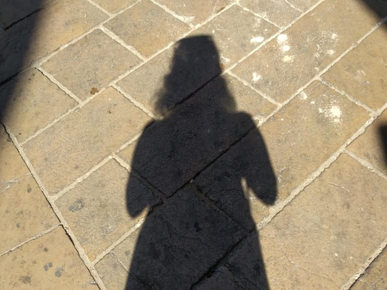 הוועדה ההומניטרית – הצל מאחורי הנתונים